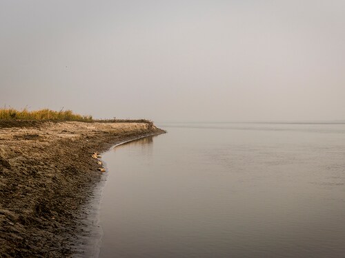 river edge showing soil erosion