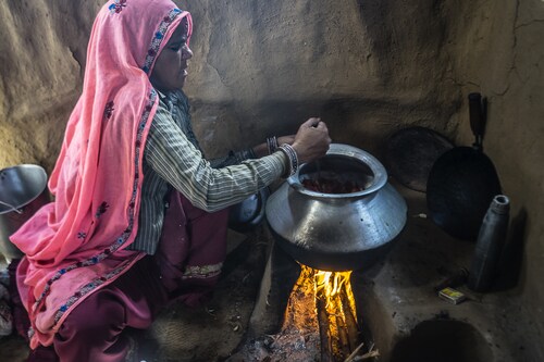 Studies have shown that 70% of Indian houses use biomass fuel for cooking and heating purposes in poorly ventilated kitchens. The same study showed 2,068 women with more than 10 years of biomass cooking were screened, almost one-fifth (18%) were diagnosed with COPD. Image: Shutterstock 