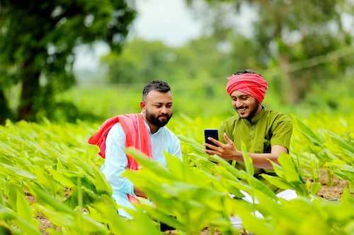 Skill training is also pivotal to support farmers in diversifying and de-risking their income streams. Image: Shutterstock