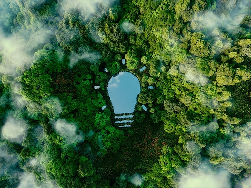 A bulb-shaped lake in the middle of a lush forest, symbolizing fresh ideas, inventiveness and creativity in relation to solving environmental problems. 3d rendering.