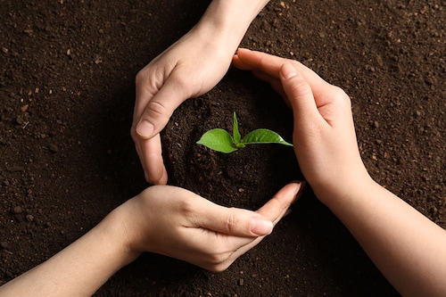 Image: Shutterstock
