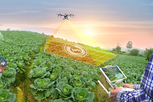 There is an urgent need to democratise the use of technology in agriculture sector. Image: Shutterstock