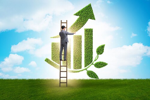 Image: Shutterstock
