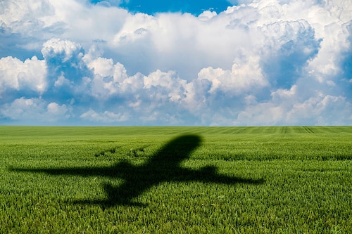 Image: Shutterstock