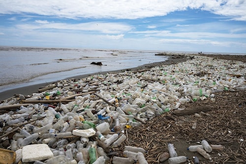 Garbage, including plastic waste, is seen at Paparo Beach in Miranda State, Venezuela, on June 6, 2023. Photo by Yuri CORTEZ / AFP