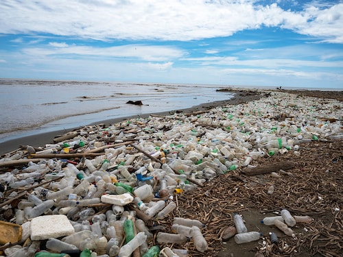 Garbage, including plastic waste, is seen at Paparo Beach in Miranda State, Venezuela, on June 6, 2023. Photo by Yuri CORTEZ / AFP
