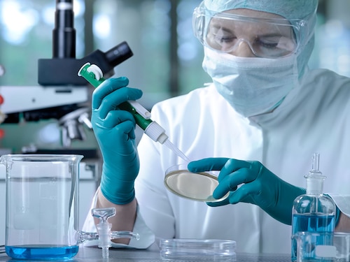 scientist working in the laboratory
