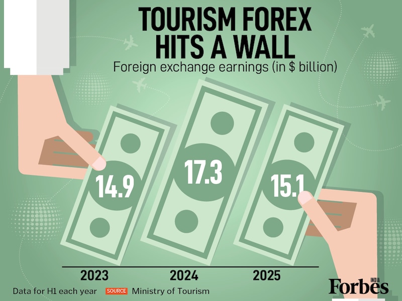 Foreign exchange earnings from tourism show major swings: Up from $14.9 billion (H12023) to $17.3 billion (H12024), only to drop sharply to $15.1 billion (H12025). This $2.2 billion decline year-on-year suggests the post-pandemic travel rebound may be facing headwinds.