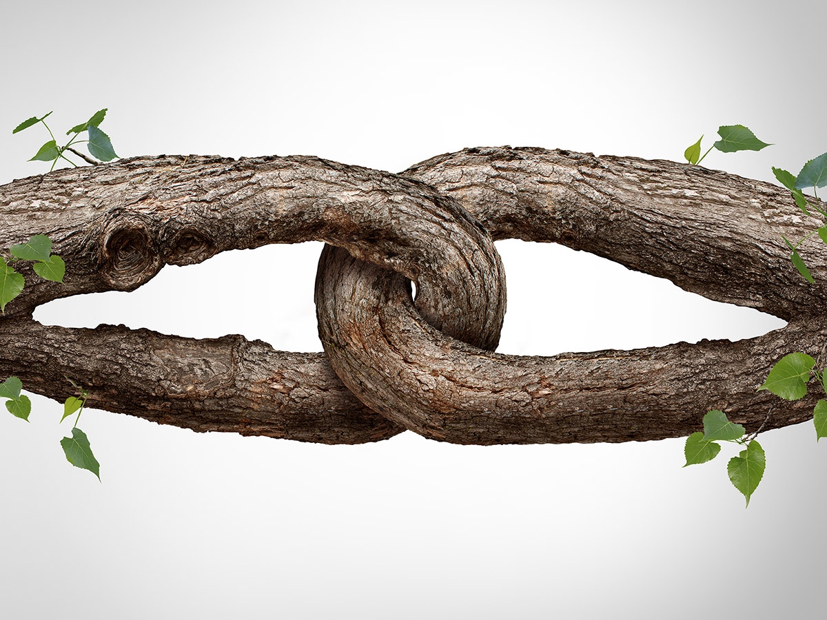 The reducing importance of the organisation