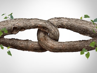 Organisations will need to strengthen bonds between employees and their immediate teams. The foundation of identification efforts now needs to move at the team level more than ever. 
Image: Shutterstock