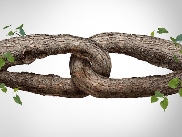 Organisations will need to strengthen bonds between employees and their immediate teams. The foundation of identification efforts now needs to move at the team level more than ever.
Image: Shutterstock