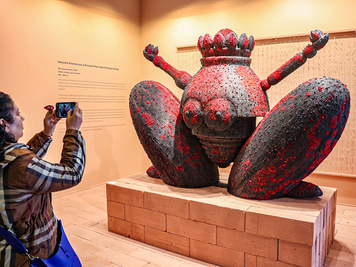 Ecological concerns on show at the India Art Fair