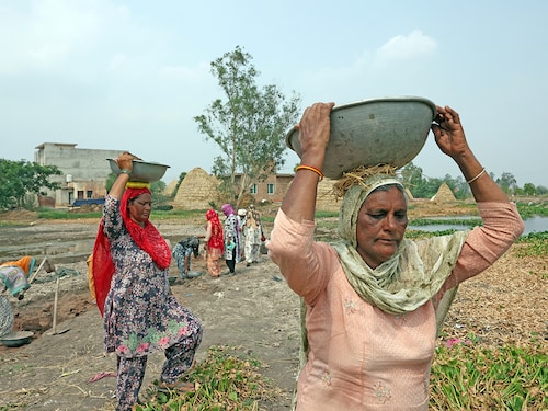 (File) MGNREGA (Mahatma Gandhi National Rural Employment Guarantee Act) workers collect soil and clear out weed near a pond in Gaggarpur village in the northern state of Haryana, India. REUTERS/Bhawika Chhabra