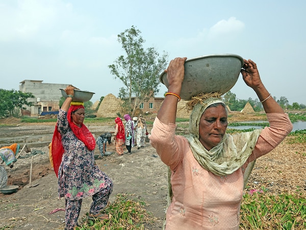 (File) MGNREGA (Mahatma Gandhi National Rural Employment Guarantee Act) workers collect soil and clear out weed near a pond in Gaggarpur village in the northern state of Haryana, India. REUTERS/Bhawika Chhabra