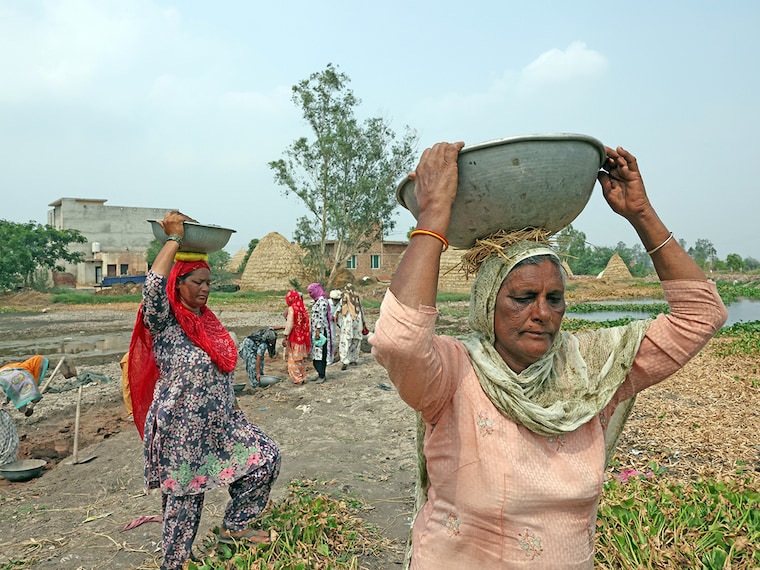 (File) MGNREGA (Mahatma Gandhi National Rural Employment Guarantee Act) workers collect soil and clear out weed near a pond in Gaggarpur village in the northern state of Haryana, India. REUTERS/Bhawika Chhabra