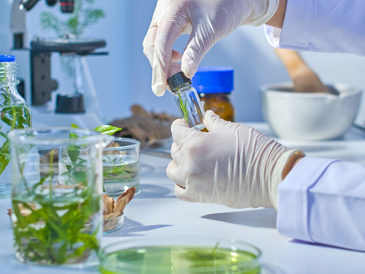 Budget 2026: Rs10,000 crore Biopharma Shakti push to make India a biologics hub