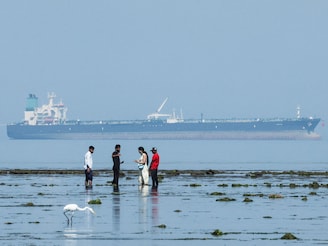 The crude oil tanker Desert Kite carrying Russian oil glides in the background, while tourists watch marine life at Narara Marine National Park in the Arabian Sea, Gujarat, March 11 , 2026.