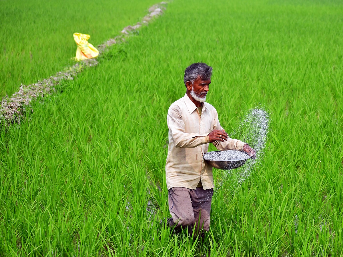 How India’s fertiliser dependence could impact agricultural produce