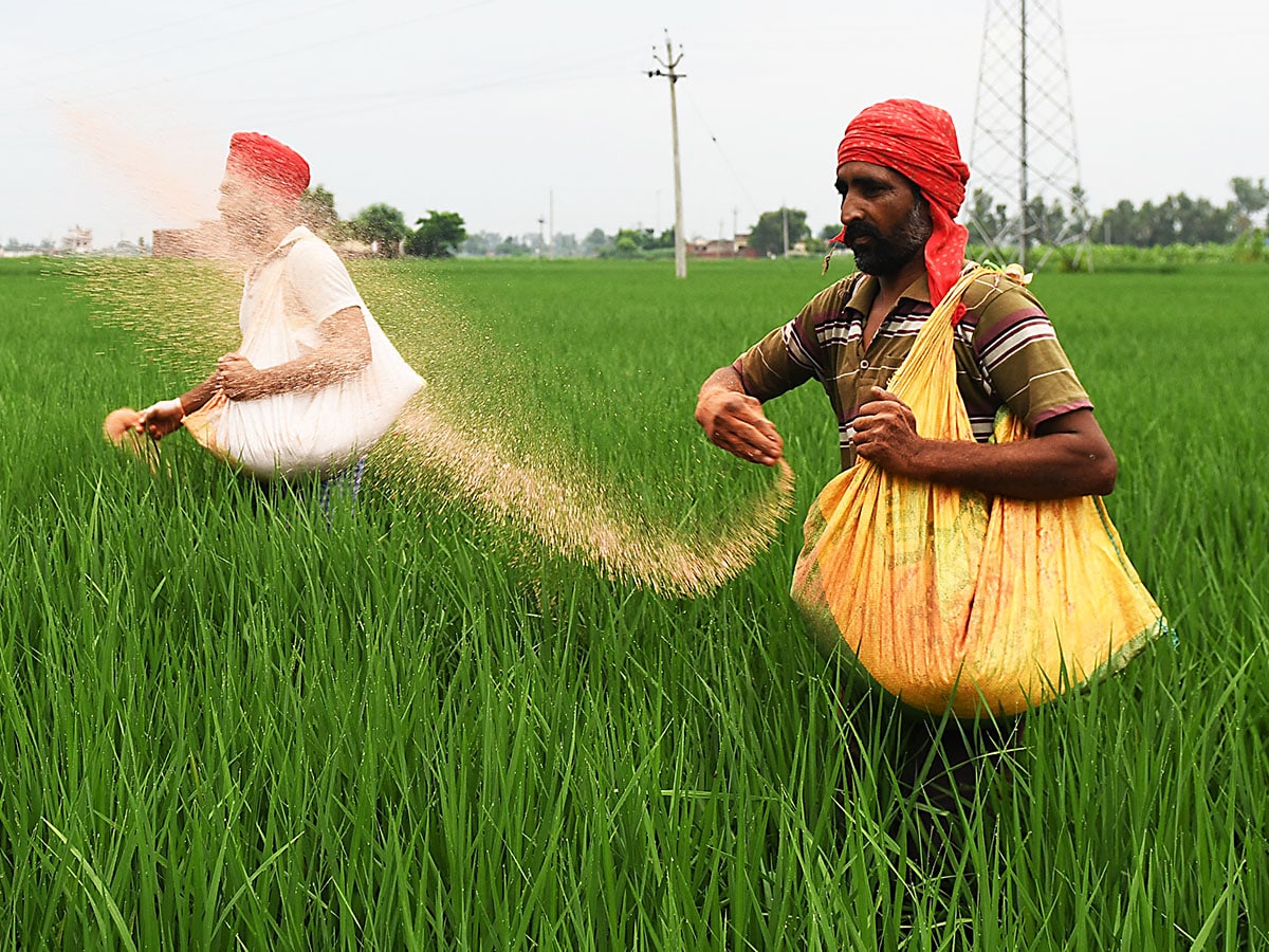 West Asia war likely to double India’s fertilizer 