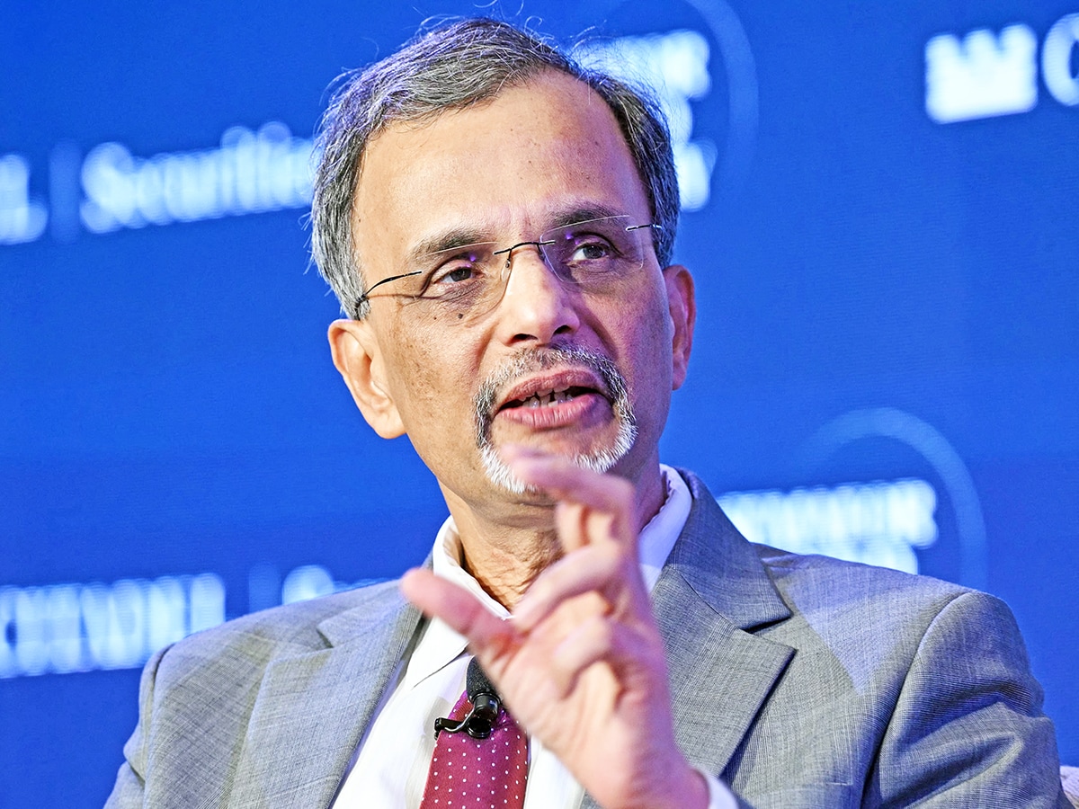 India's economic resilience shines through despite global headwinds: CEA