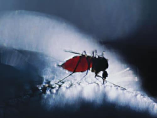 Forbes India Forbes India Image