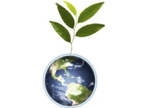 Forbes India Image