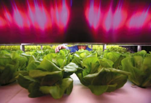 Forbes India Forbes India Image