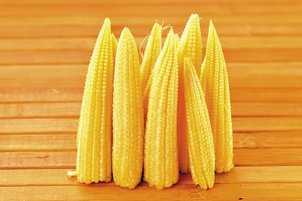 mg_68105_baby_corn_280x210.jpg mg_68105_baby_corn_280x210.jpg