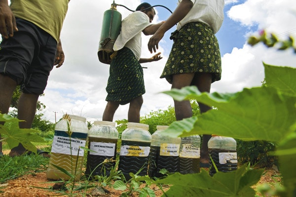 mg_65548_farmer_280x210.jpg mg_65548_farmer_280x210.jpg