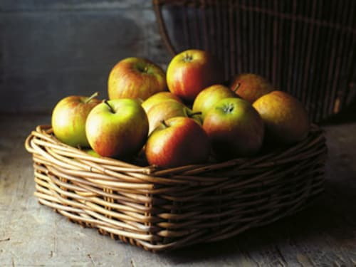 Forbes India Forbes India Image