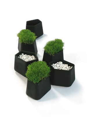 mg_66743_rock_garden_280x210.jpg mg_66743_rock_garden_280x210.jpg