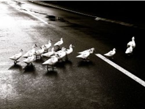 Forbes India Forbes India Image