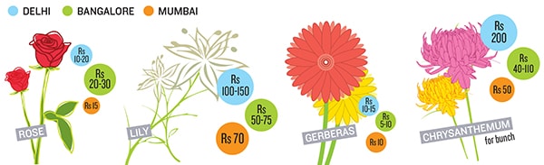 mg_68815_flowers_280x210.jpg mg_68815_flowers_280x210.jpg