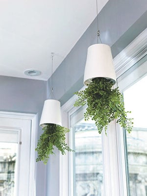 mg_70479_sky_planter_280x210.jpg mg_70479_sky_planter_280x210.jpg
