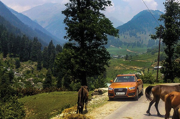 mg_72565_audi_q_280x210.jpg mg_72565_audi_q_280x210.jpg