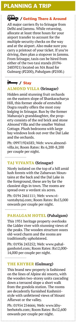 mg_72569_golf_280x210.jpg mg_72569_golf_280x210.jpg