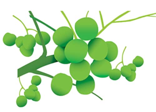 Forbes India Forbes India Image