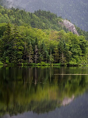 mg_76979_maine_280x210.jpg mg_76979_maine_280x210.jpg