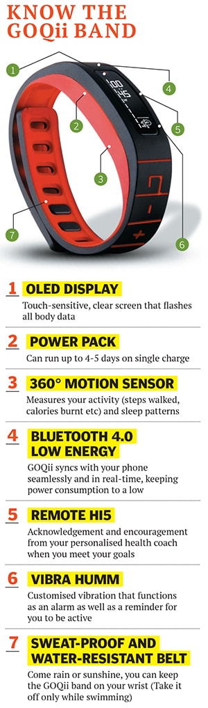 mg_77235_goqii_280x210.jpg mg_77235_goqii_280x210.jpg