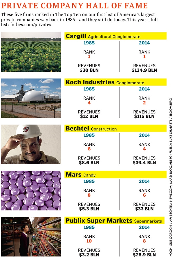 mg_78645_golden_elephant_280x210.jpg mg_78645_golden_elephant_280x210.jpg