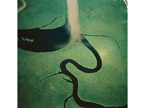 Forbes India Image