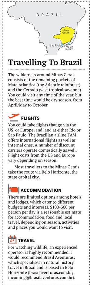 mg_74083_wildlife_280x210.jpg mg_74083_wildlife_280x210.jpg