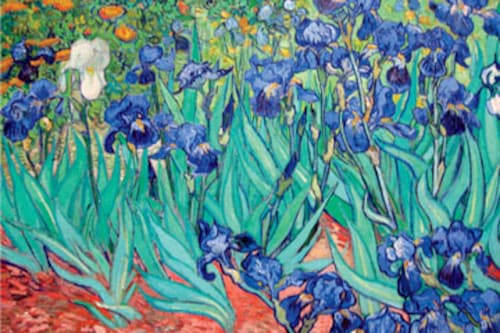 Forbes India Forbes India Image