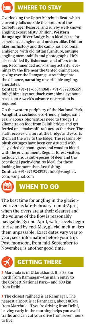 mg_76690_mahseer_280x210.jpg mg_76690_mahseer_280x210.jpg
