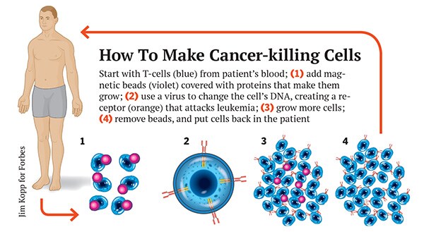 mg_75968_cancer_280x210.jpg mg_75968_cancer_280x210.jpg