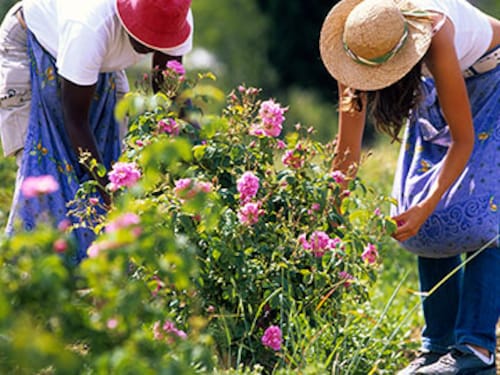 Forbes India Forbes India Image