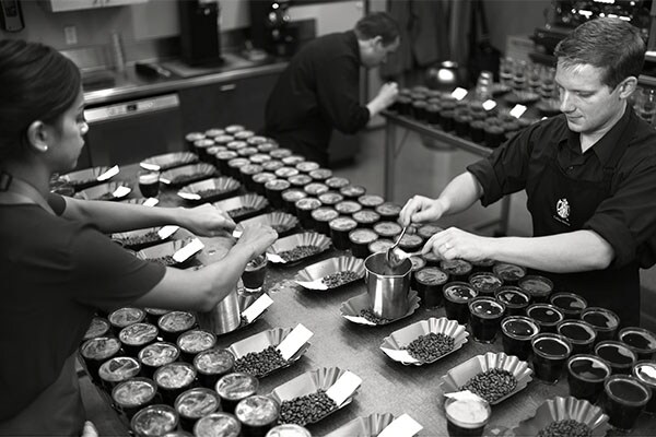 mg_76284_coffee_blend_280x210.jpg mg_76284_coffee_blend_280x210.jpg