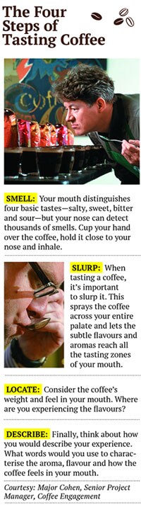 mg_76298_coffee_280x210.jpg mg_76298_coffee_280x210.jpg