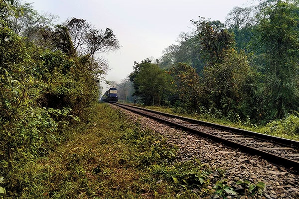 mg_82531_train_in_forest_280x210.jpg mg_82531_train_in_forest_280x210.jpg