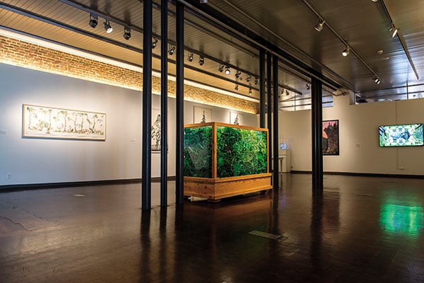 mg_84159_gallery_280x210.jpg mg_84159_gallery_280x210.jpg